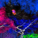 Thumb 65c6d38ead52d948d2af2f30