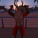 Thumb 65e3ccd55b094850423b78a0