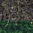 Thumb 666a217e82b55154466fd4c0