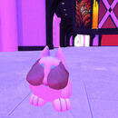 Thumb 669da3416e233a167430c087