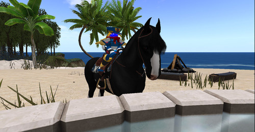 Web 64ee4be63e43df2d9584b153