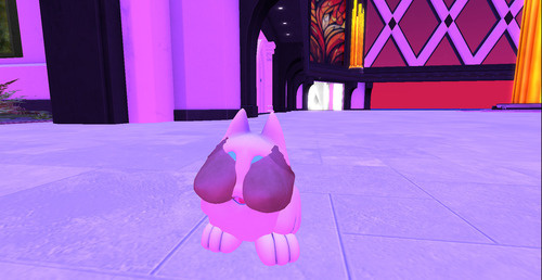 Web 669da3416e233a167430c087