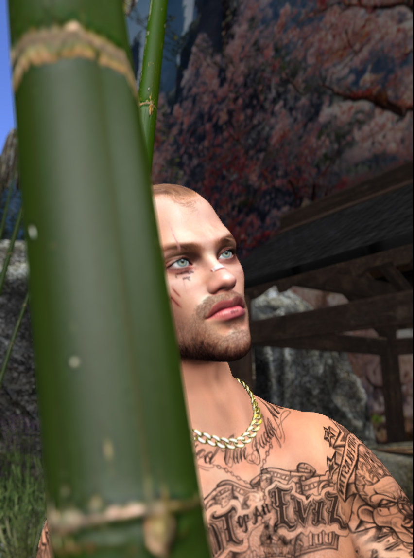 Original 66ceda15560cd73baf1f86af