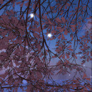 Thumb 669550c9dba37b479d14e7e0