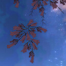 Thumb 669552176b9bf44e29cf3c09