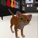 Thumb 66a149afd676ba0c02a8c0fc