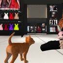 Thumb 66a14a923f920f74feb1eb84