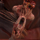 Thumb 66b84d5deaa9a8522b495a7b