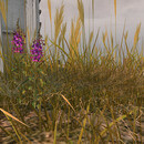 Thumb 66f132aa5a13600d6e446b61