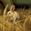 Thumb 66f59149f6490930bc016962