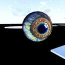 Thumb 66fbaf21f649096113016962