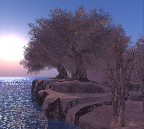 Web 669e51788bfdca736116f6ab