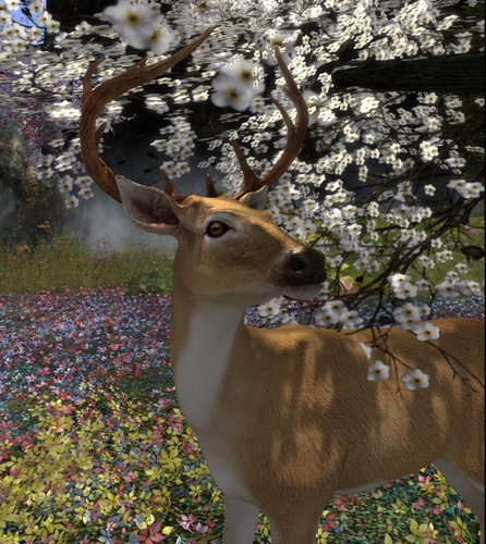 Web 669e55071ec7630bb4f13bab