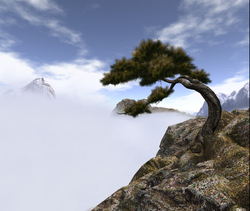 Web 669e5e303f920f6dd6b1eb84