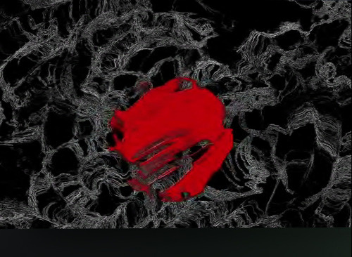 Web 66ffee4fc892c85eb5846f77