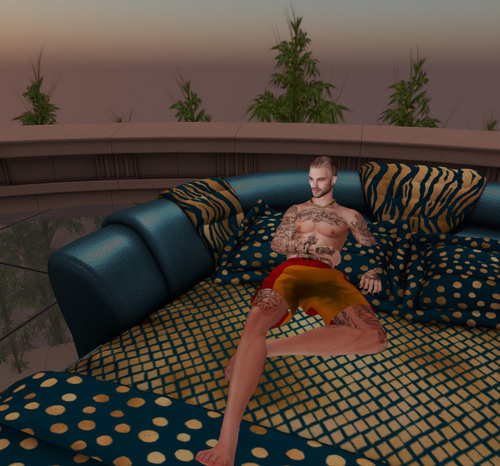 Web 670cc320bfc454262cd0fec0