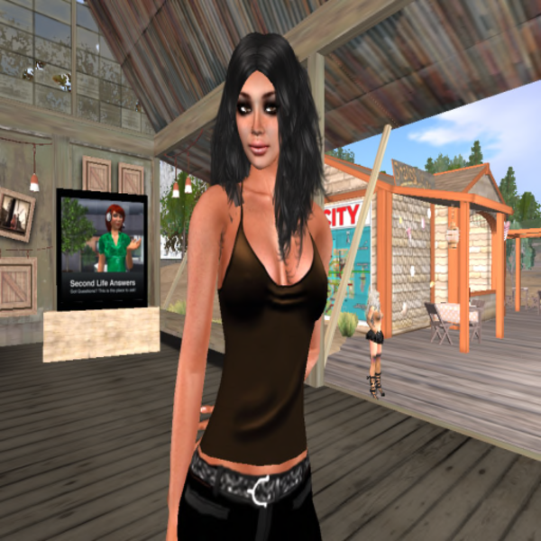SECOND LIFE HELP intelligence overview