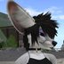 Thumb sl image